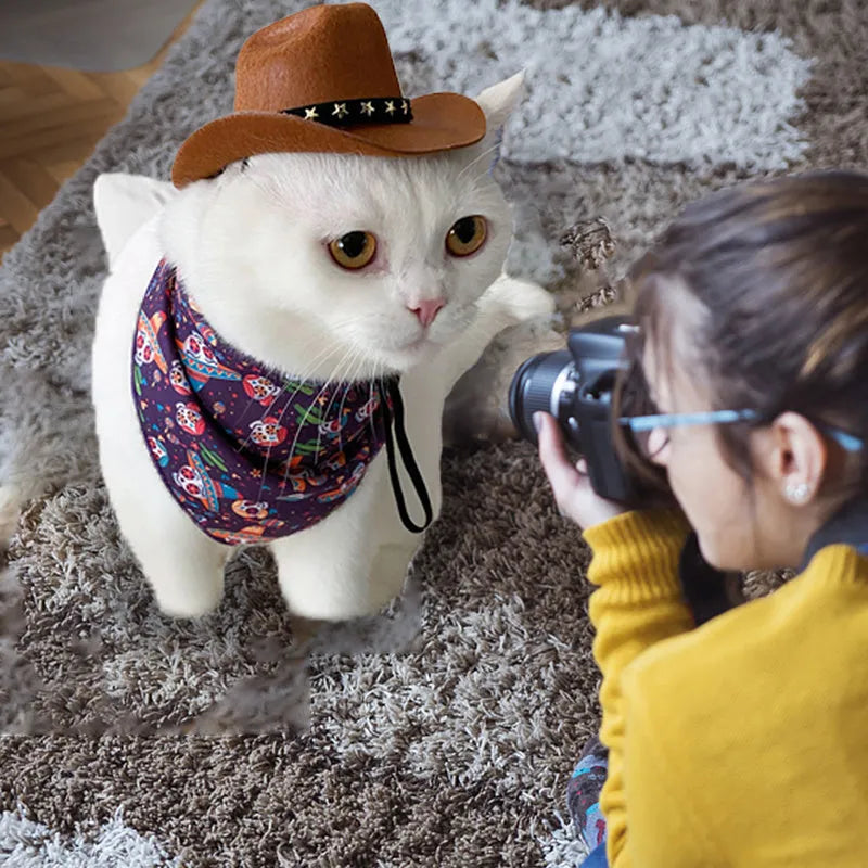 A black pet cowboy hat with a white star on the front, shown with its adjustable elastic strap.