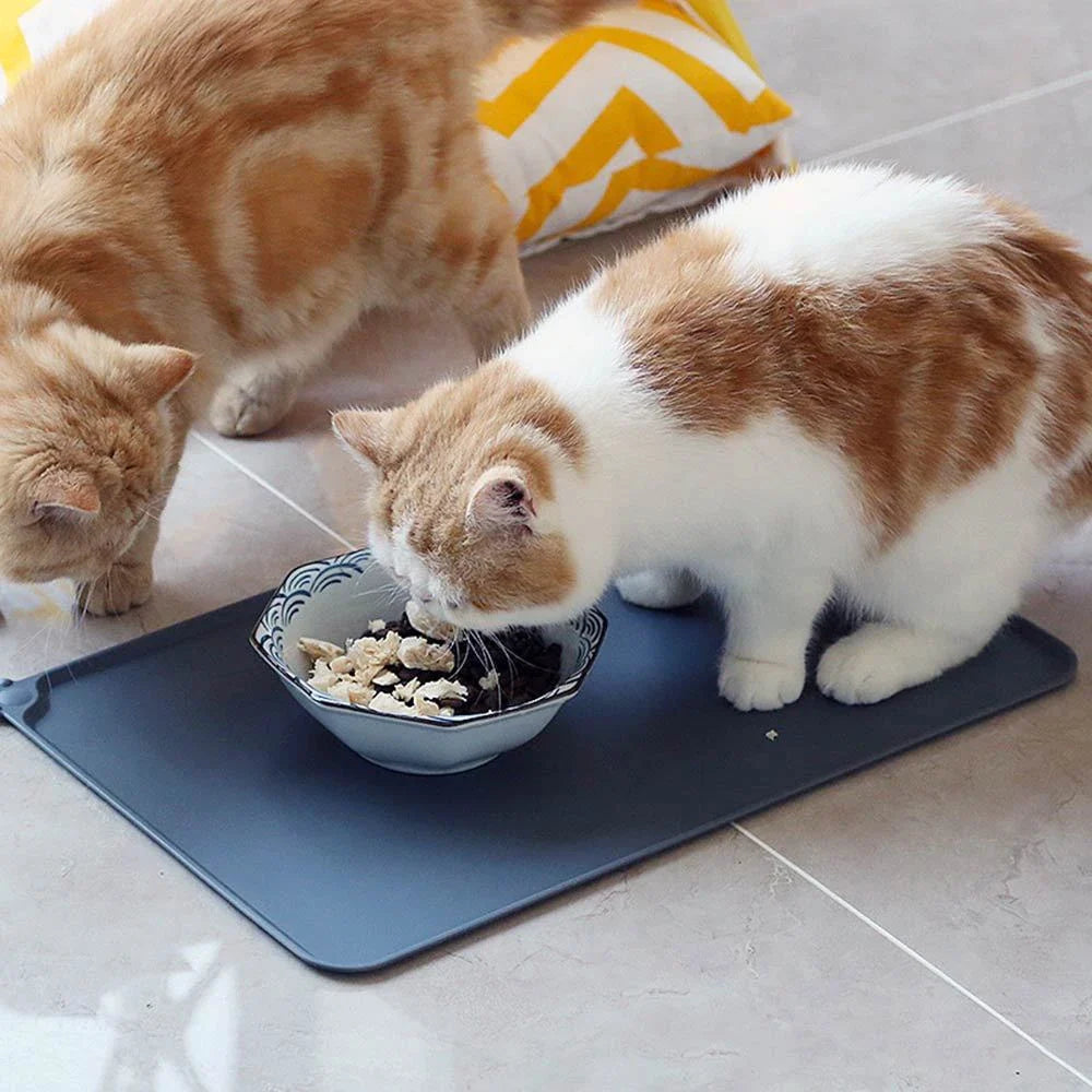 Silicone pet food mat with raised edges and non-slip base to contain messes and protect floors during pet mealtimes