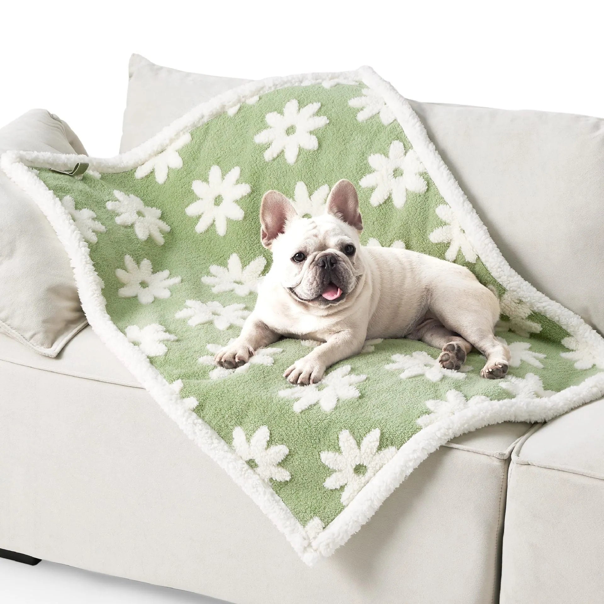Blue and white patterned waterproof dog blanket on furniture showing cloth texture