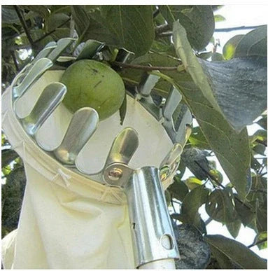 Premium Orchard Fruit Picker - high-quality, durable tool for effortless fruit harvesting without a ladder