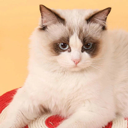 Premium cat scratching pad with durable sisal fabric and cactus-shaped design to protect furniture and satisfy your feline's natural scratching needs