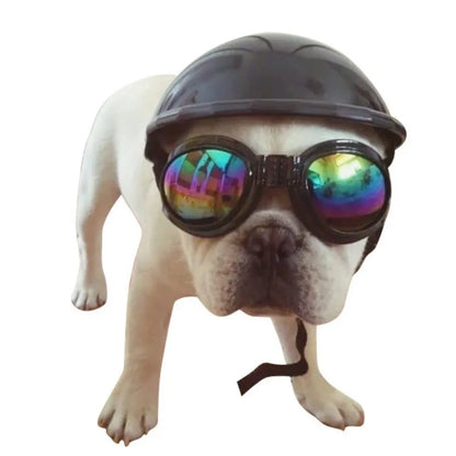 Plastic dog motorcycle cap helmet in seven colour options showing three diameter sizes
