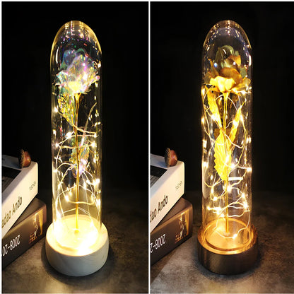Little Prince rose arrangement under 20x9cm glass dome with gold foil flowers