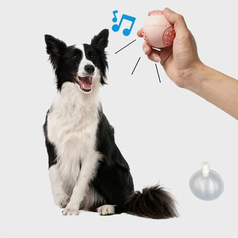 Green rolling ball dog toy with 64mm diameter for small to medium breeds on floor