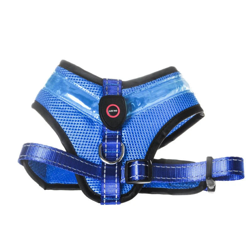 USB rechargeable LED dog harness in blue, red, or green with reflective safety features