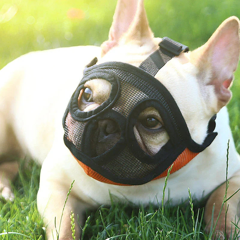 Breathable dog muzzle for small to medium-sized breeds like French Bulldogs, available in various colors and sizes