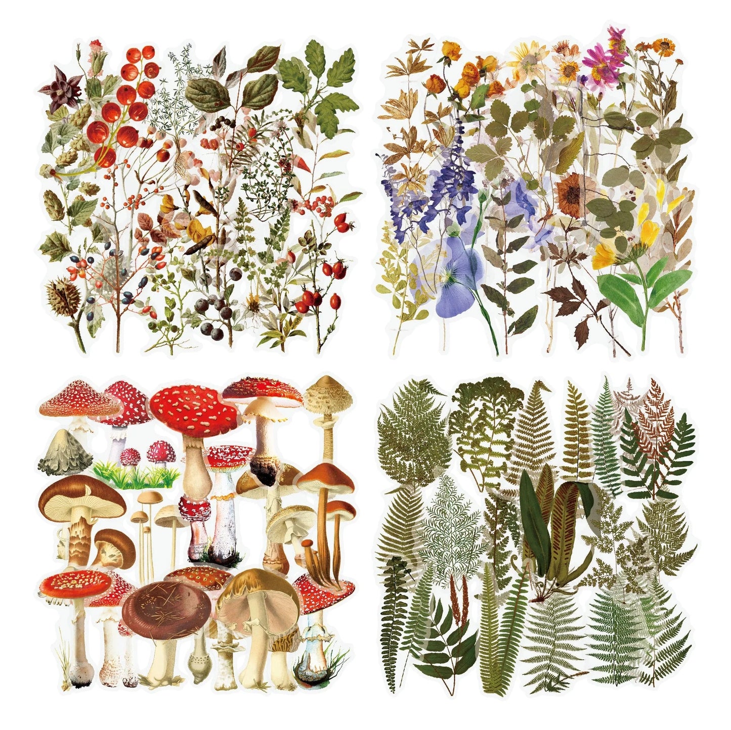 Enchanting transparent floral and mushroom stickers for DIY journaling and crafting
