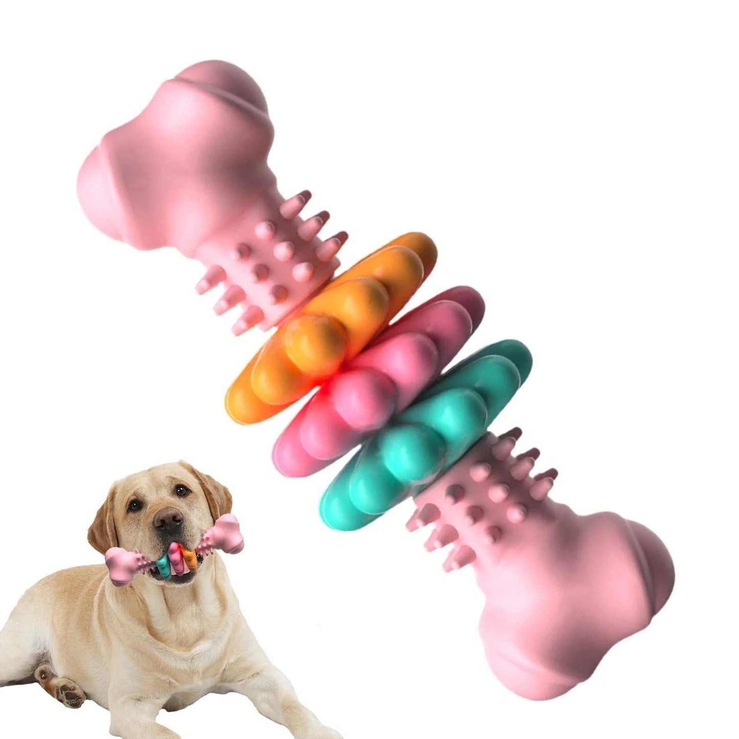 Durable TPR dog chew bone in blue, pink, or green for teeth cleaning and stress relief