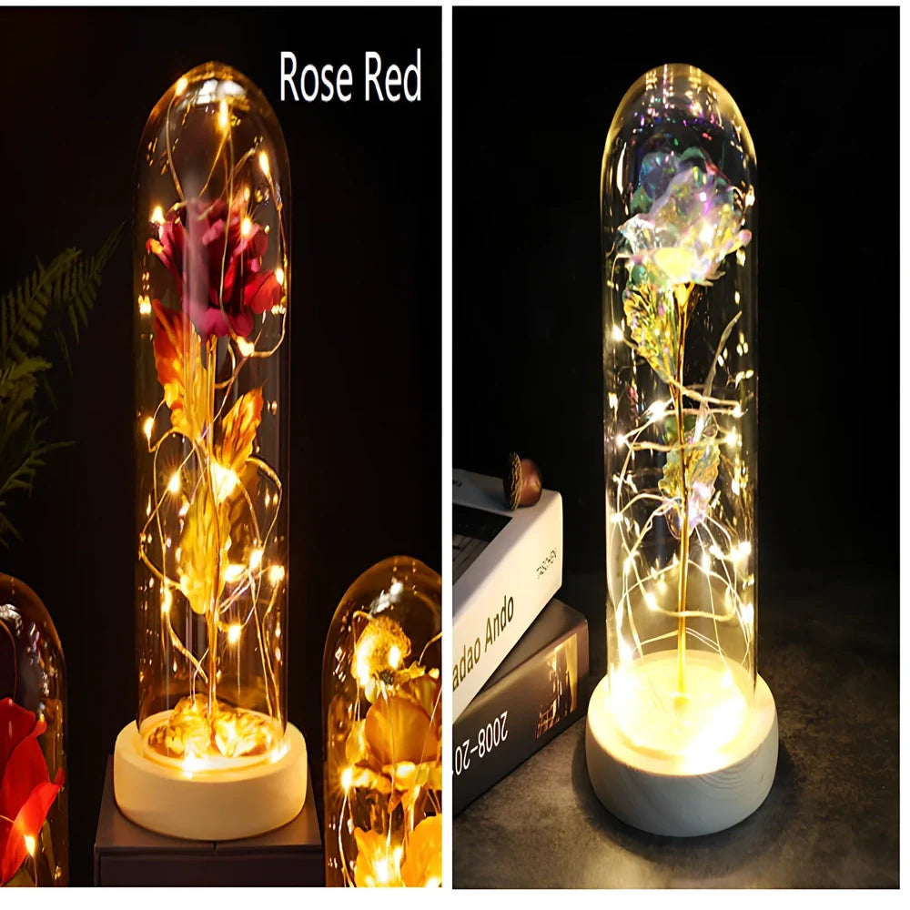 Little Prince rose arrangement under 20x9cm glass dome with gold foil flowers