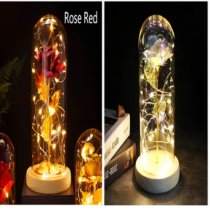 Little Prince rose arrangement under 20x9cm glass dome with gold foil flowers