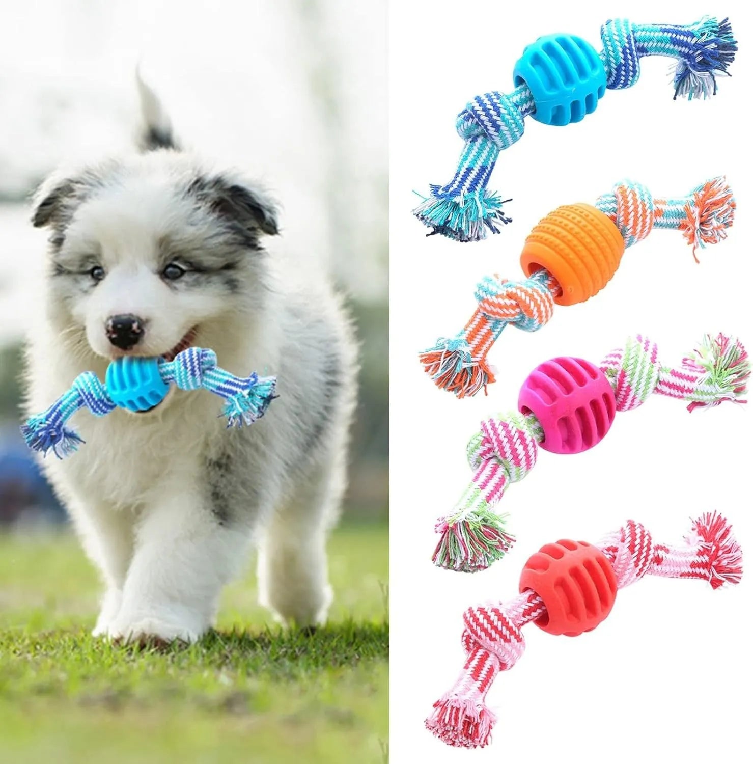 Navy blue dog chew toy with molar-shaped rubber sections and white cotton rope, 25cm long