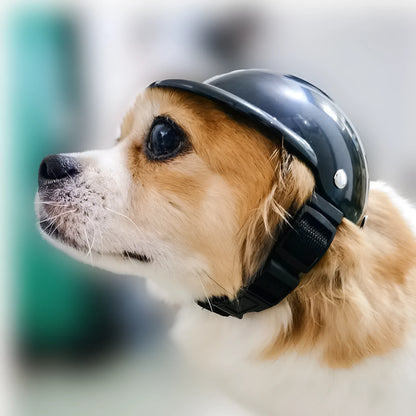 Black pet helmet for dogs and cats with adjustable strap, ABS shell, sizes S and M