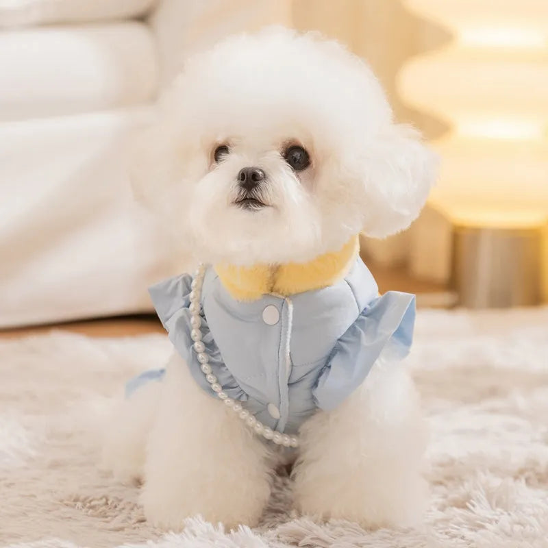 Small dog wearing blue princess skirt pet clothes with D-ring leash attachment, autumn winter fleece