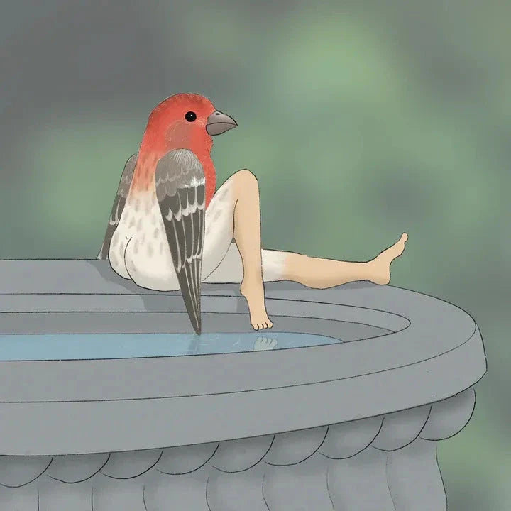 Elegant 2024 wall calendar featuring detailed illustrations of various bird species