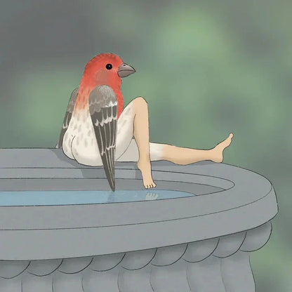 Elegant 2024 wall calendar featuring detailed illustrations of various bird species