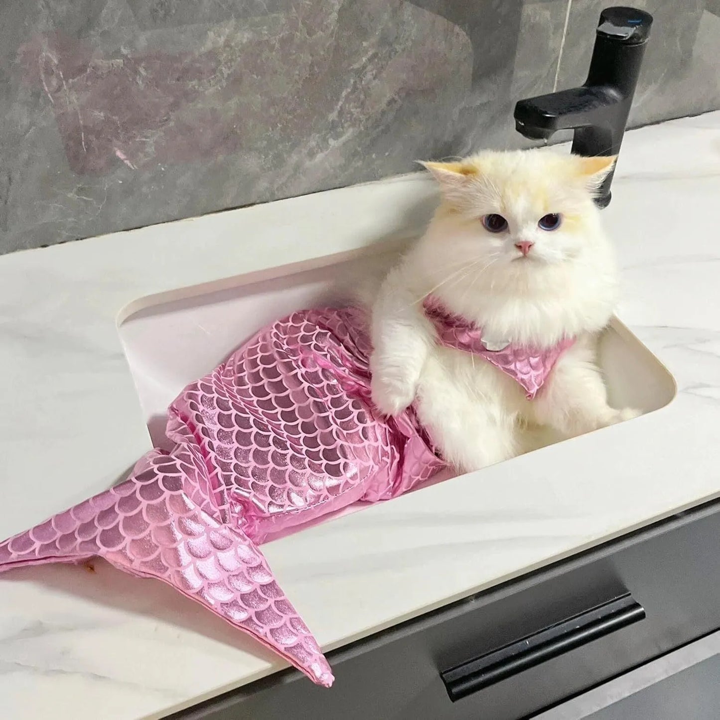 Blue pet mermaid costume with fish tail on a cat, showing scale detail and chest strap.