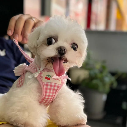 Small dog wearing adjustable cotton harness in pink with chest-back design and hand holding rope attachment