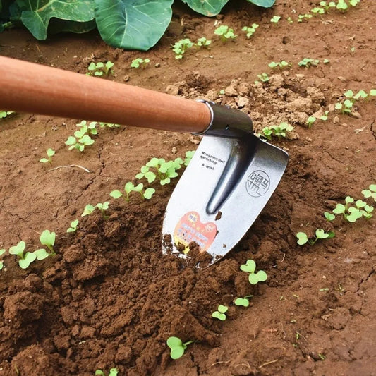 Steel horse pointed hoe with 25cm manganese steel blade and 120cm handle for garden weeding