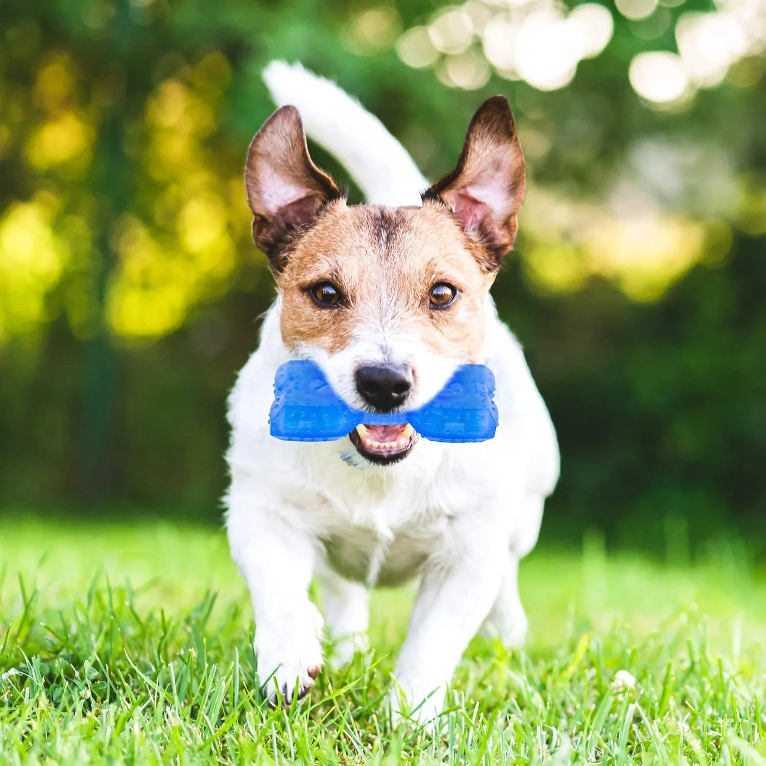 Blue bone-shaped dog teething toy with cooling function and treat compartment for puppies