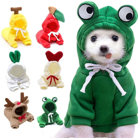 Cozy and stylish fruit-themed dog hoodies in a variety of adorable designs for small breed pets