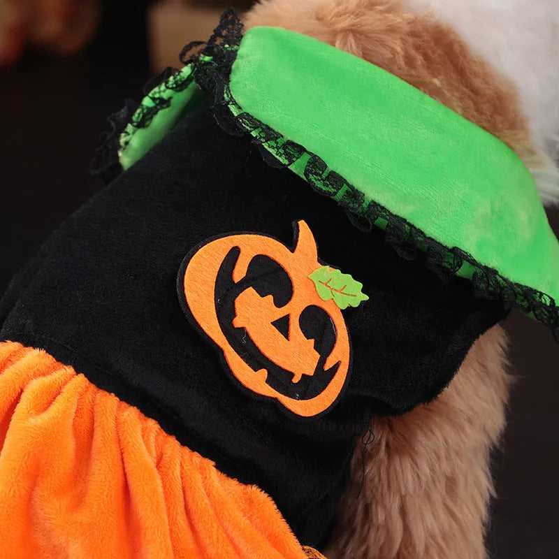 Halloween pet costume: orange pumpkin skirt and black Halloween sweater for small dogs and cats on a mannequin.
