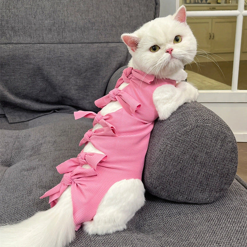 Lace-up cat sterilisation clothing in blue colour on cat showing adjustable back fastening and full-body coverage