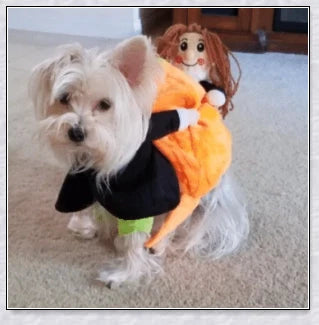 Adorable pumpkin-themed dog costume with adjustable Velcro closure and unique saddle arch design