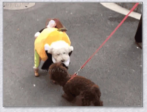 Adorable pumpkin-themed dog costume with adjustable Velcro closure and unique saddle arch design