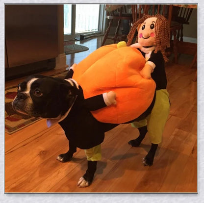 Adorable pumpkin-themed dog costume with adjustable Velcro closure and unique saddle arch design
