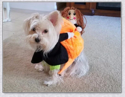 Adorable pumpkin-themed dog costume with adjustable Velcro closure and unique saddle arch design