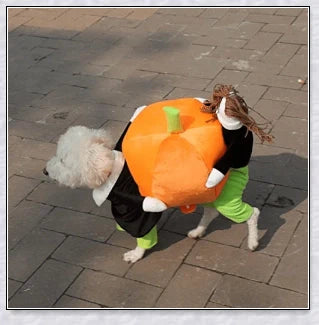Adorable pumpkin-themed dog costume with adjustable Velcro closure and unique saddle arch design