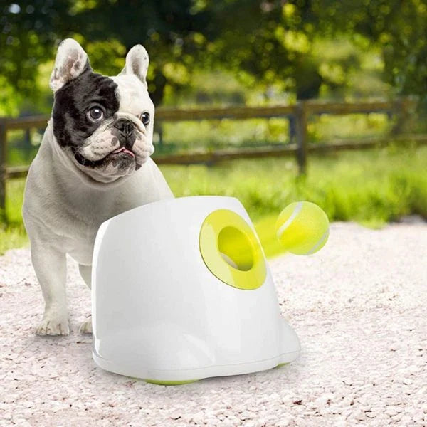 Automatic Tennis Ball Launcher for small and medium dogs, with adjustable launch distances and mini tennis balls