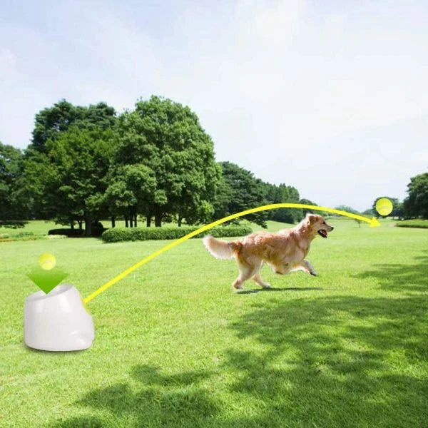 Hhomeenjoy Automatic Tennis Ball Launcher, Dog Training Toy
