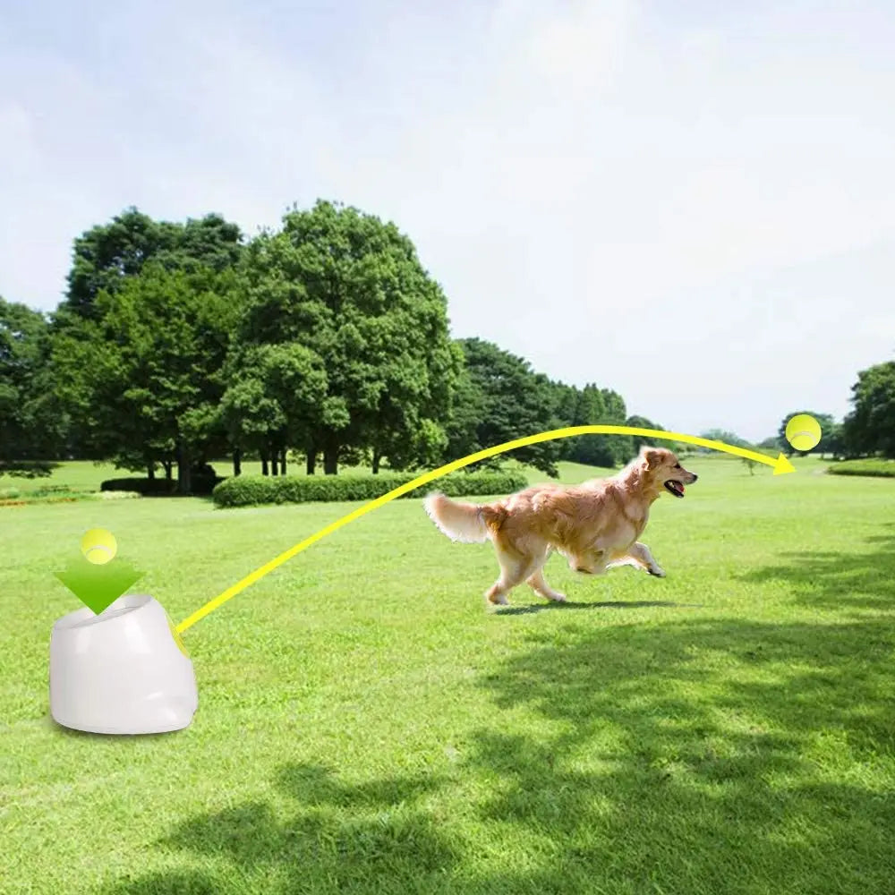 Automatic Tennis Ball Launcher for small and medium dogs, with adjustable launch distances and mini tennis balls