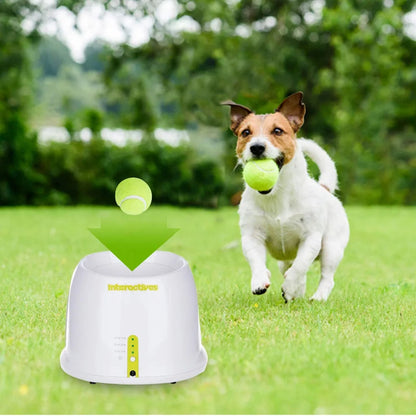 Automatic Tennis Ball Launcher for small and medium dogs, with adjustable launch distances and mini tennis balls