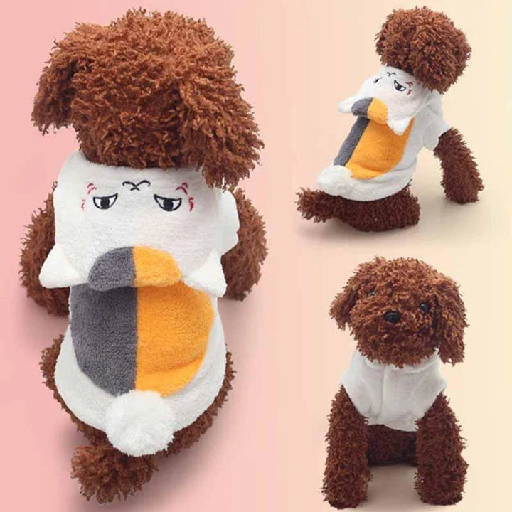 Coral fleece pet clothing in various sizes and colors for cats and dogs to stay warm and cozy during the winter season.