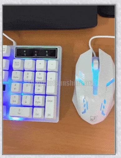 Wireless gaming keyboard and mouse set with RGB backlight and ergonomic design for PC gamers