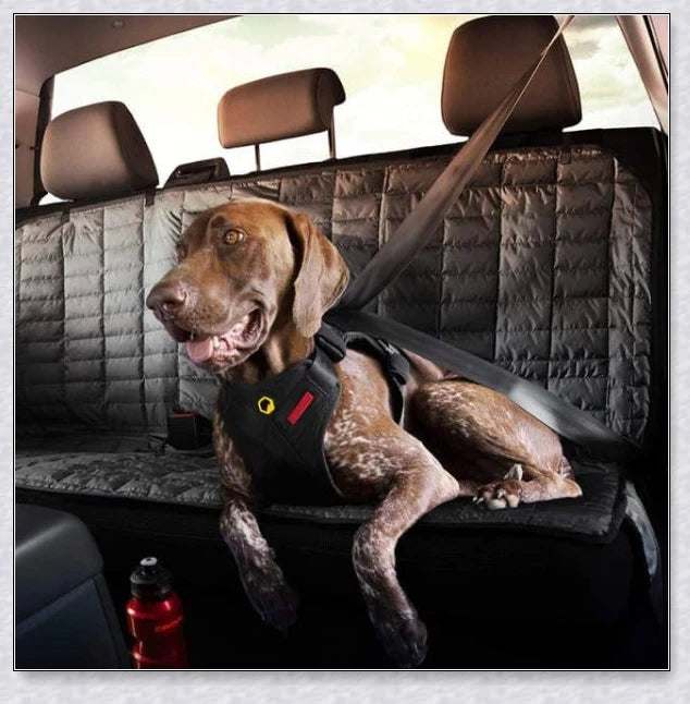 Premium Travel Dog Car Harness - Secure and Comfortable Ride for Your Pup