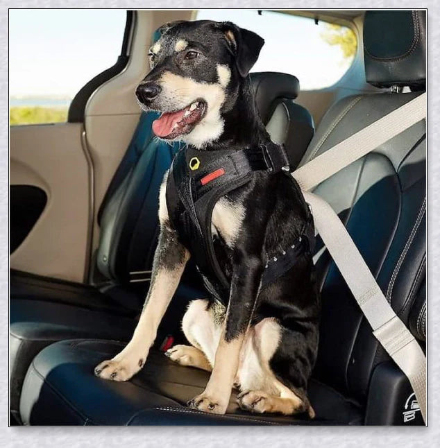 Premium Travel Dog Car Harness - Secure and Comfortable Ride for Your Pup