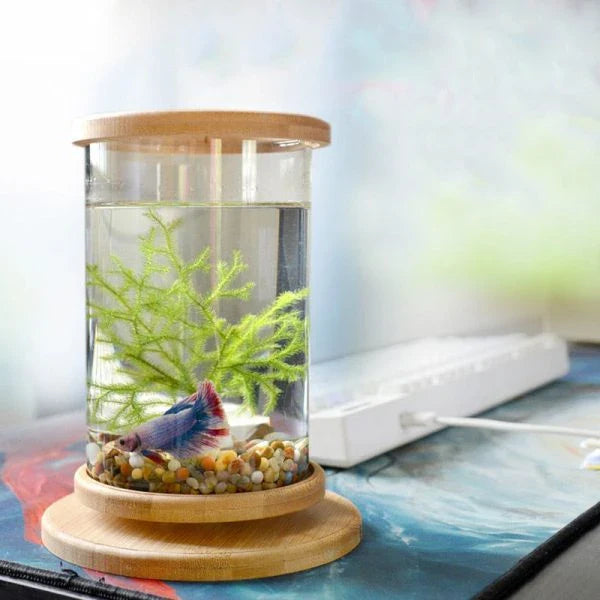 Glass Betta Fish Tank with Bamboo Base - Unique 360-degree rotating design for unobstructed viewing of your betta fish