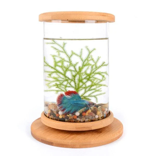 Glass Betta Fish Tank with Bamboo Base - Unique 360-degree rotating design for unobstructed viewing of your betta fish