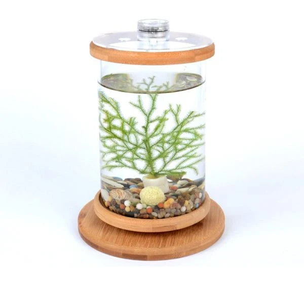 Glass Betta Fish Tank with Bamboo Base - Unique 360-degree rotating design for unobstructed viewing of your betta fish