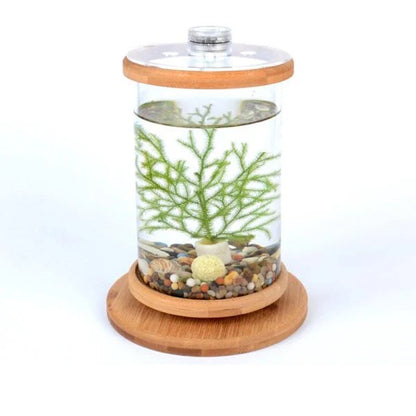 Glass Betta Fish Tank with Bamboo Base - Unique 360-degree rotating design for unobstructed viewing of your betta fish