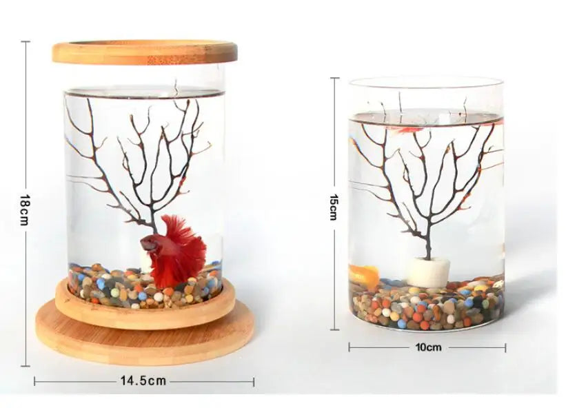 Glass Betta Fish Tank with Bamboo Base - Unique 360-degree rotating design for unobstructed viewing of your betta fish