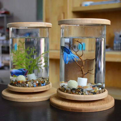 Glass Betta Fish Tank with Bamboo Base - Unique 360-degree rotating design for unobstructed viewing of your betta fish