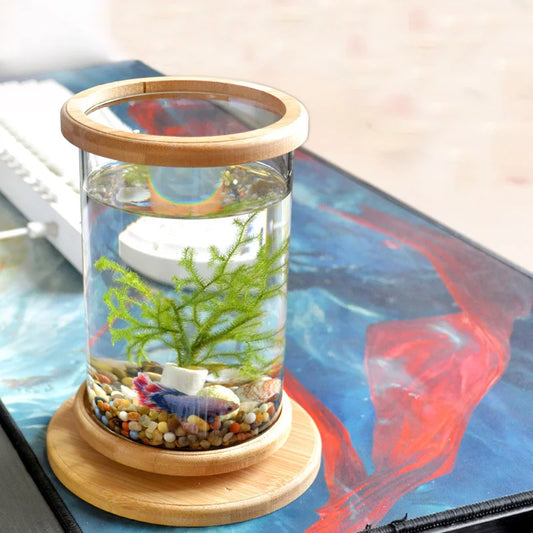 Glass Betta Fish Tank with Bamboo Base - Unique 360-degree rotating design for unobstructed viewing of your betta fish