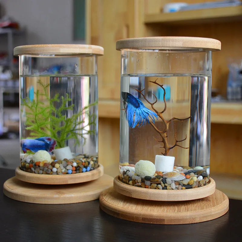 Glass Betta Fish Tank with Bamboo Base - Unique 360-degree rotating design for unobstructed viewing of your betta fish