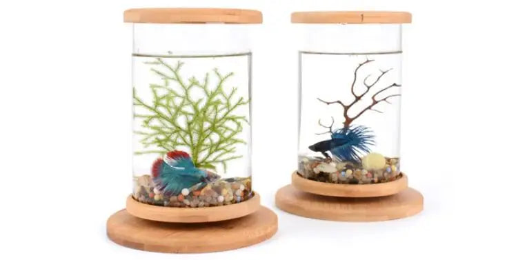 Glass Betta Fish Tank with Bamboo Base - Unique 360-degree rotating design for unobstructed viewing of your betta fish