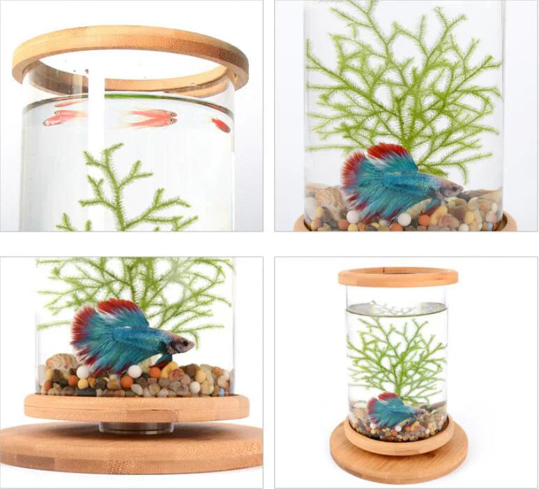 Glass Betta Fish Tank with Bamboo Base - Unique 360-degree rotating design for unobstructed viewing of your betta fish