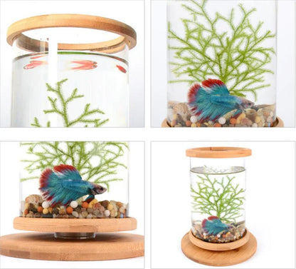 Glass Betta Fish Tank with Bamboo Base - Unique 360-degree rotating design for unobstructed viewing of your betta fish